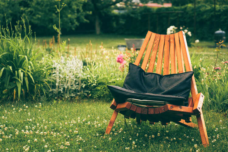 mon jardin et moi